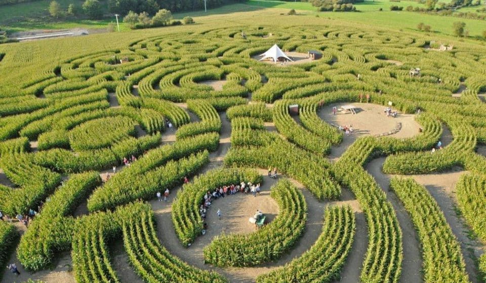 Le Labyrinthe géant de Durbuy (anciennement Barvaux) rouvrira le 1er juillet 2023