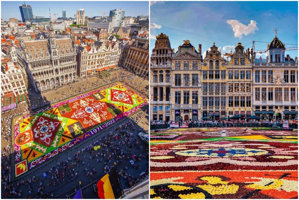 Les plus belles photos du Tapis de Fleurs 2022 à Bruxelles