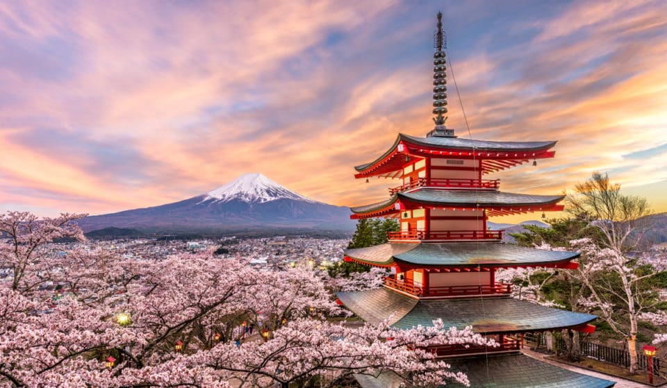 Le vol direct entre Bruxelles et Tokyo va faire son grand retour en mars