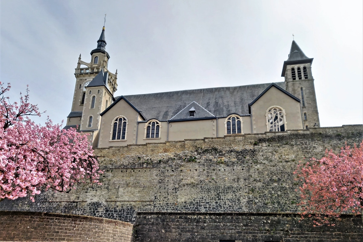 petites villes Arlon Église Saint Donat cerisiers en fleurs