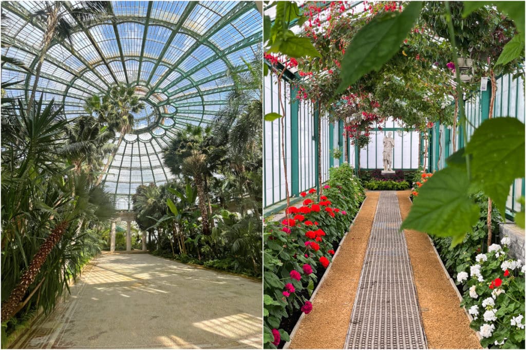 visite Serres Royales Laeken jardin d'hiver palmiers couloir verrière statue fleurs