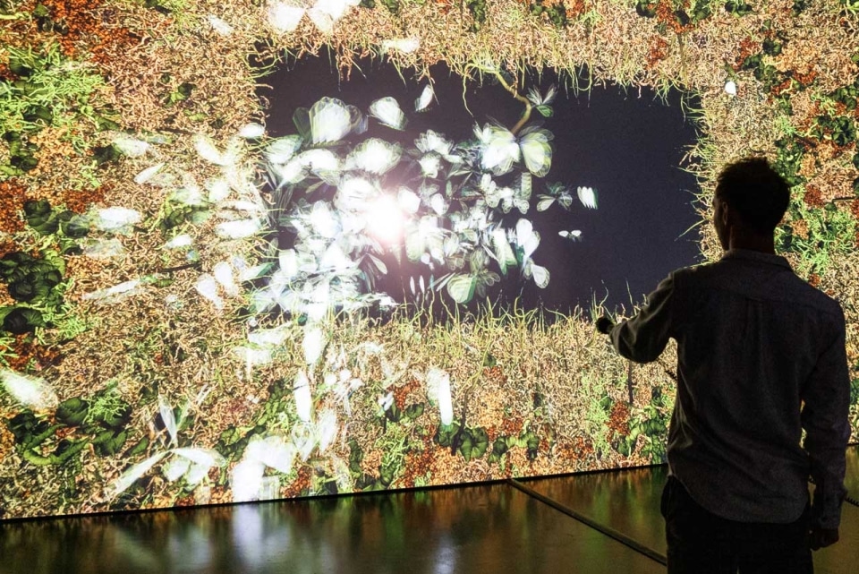 Une magnifique exposition immersive et interactive sur la nature s’installe à Bruxelles