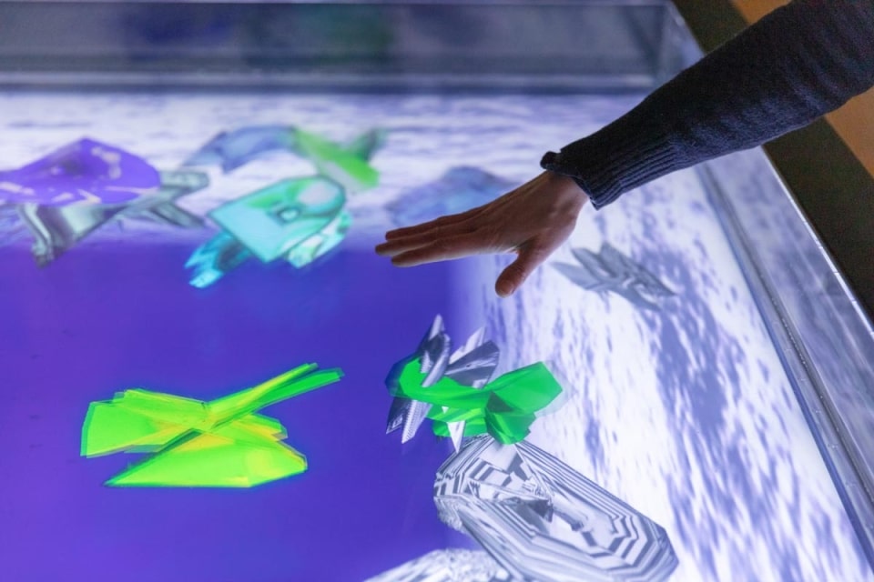 exposition sur la nature une main interagissant avec des poissons numériques