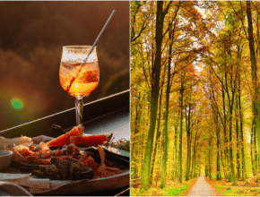 4 spots food merveilleux à tester autour de la Forêt de Soignes